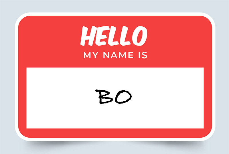 Bo Name Meaning: Origins & Significance