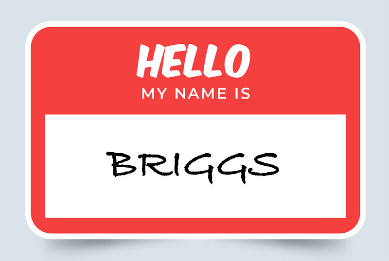 Briggs