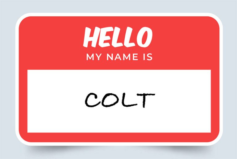 Colt Name Meaning: Origin & Significance