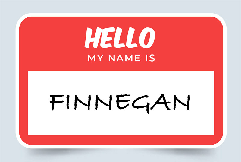 Finnegan Name Meaning Origins and Significance