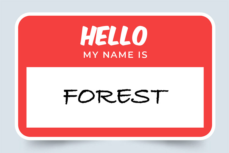 forest-name-meaning-understanding-the-origins-and-significance-of-the-name