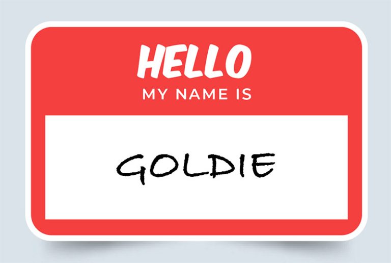 Goldie Name Meaning: Origins and Significance