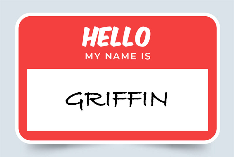 Griffin