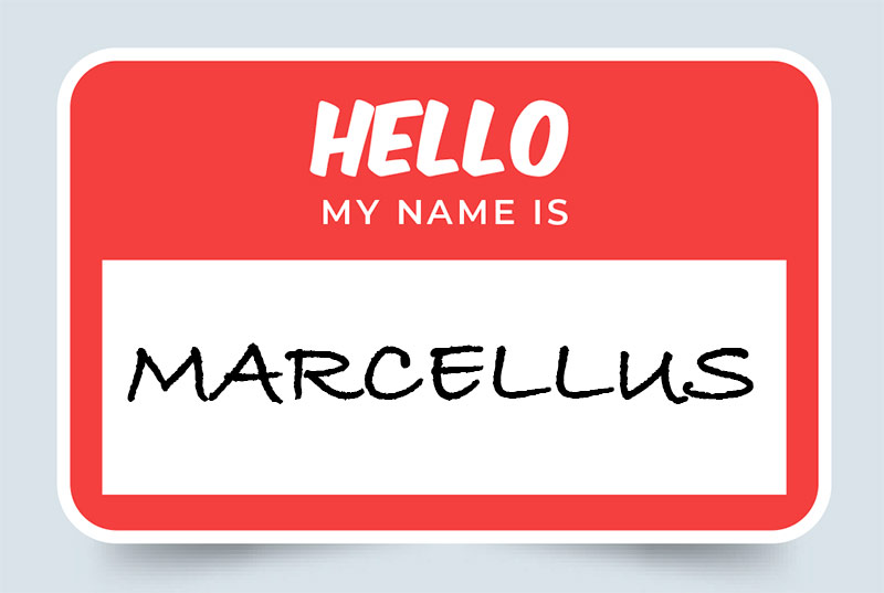 Marcellus