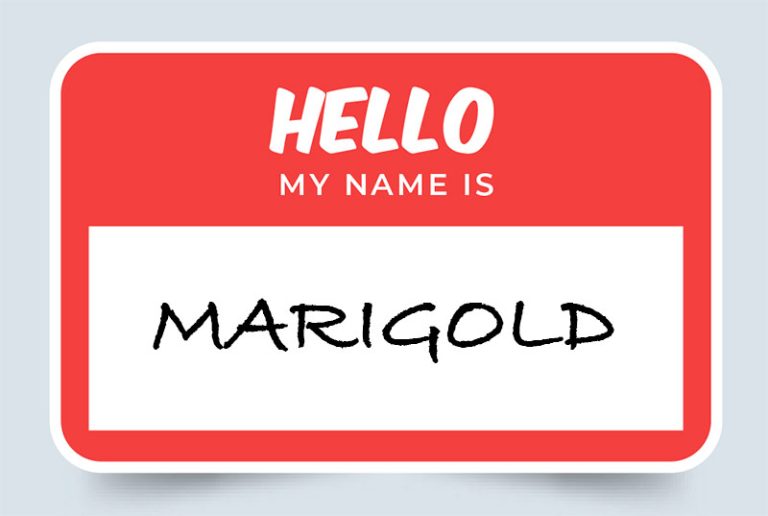 Marigold Name Meaning: Origins and Symbolism