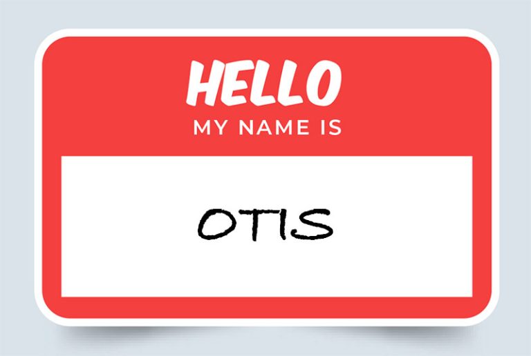 Otis Name Meaning: Origin and Significance