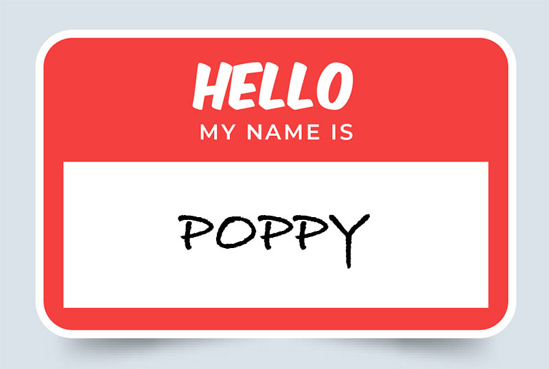 Poppy