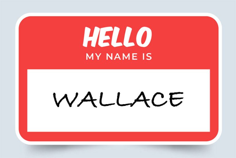 Wallace Name Meaning Origins And Significance