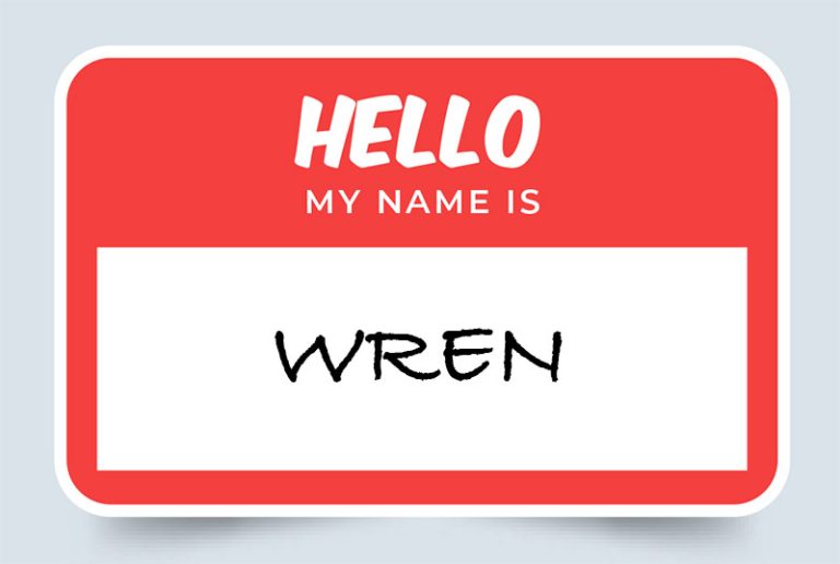 Wren Name Meaning: Origins & Significance