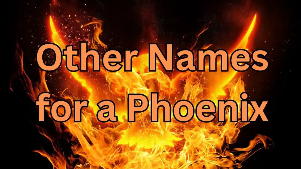 Other Names For A Phoenix Exploring Mythical Firebird Variants