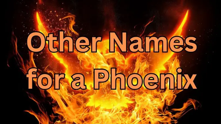 other names for a phoenix