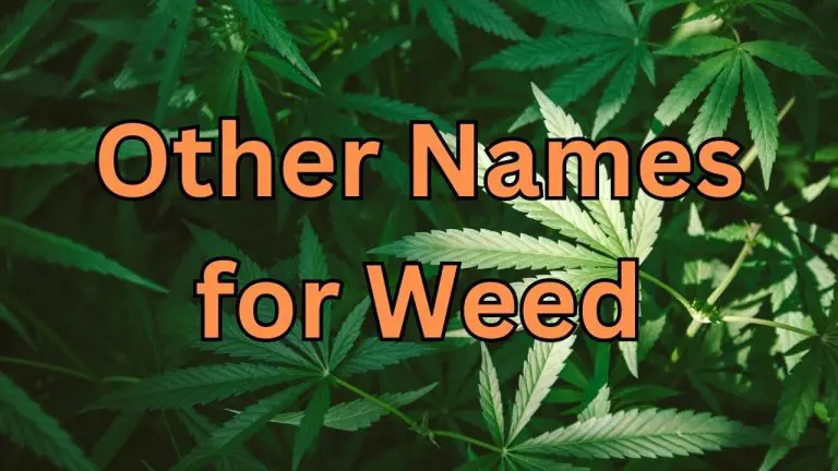 other names for weed