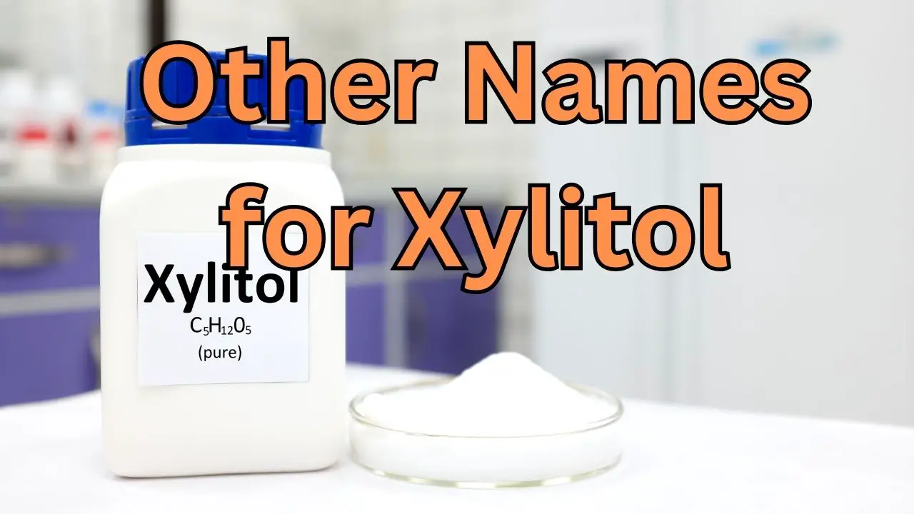 other names for xylitol