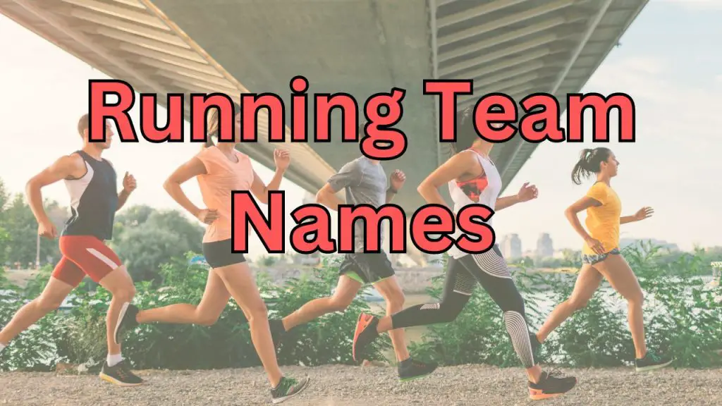 300+ Fantasy Baseball Team Names (Funny, Creative, MLB & League Names)